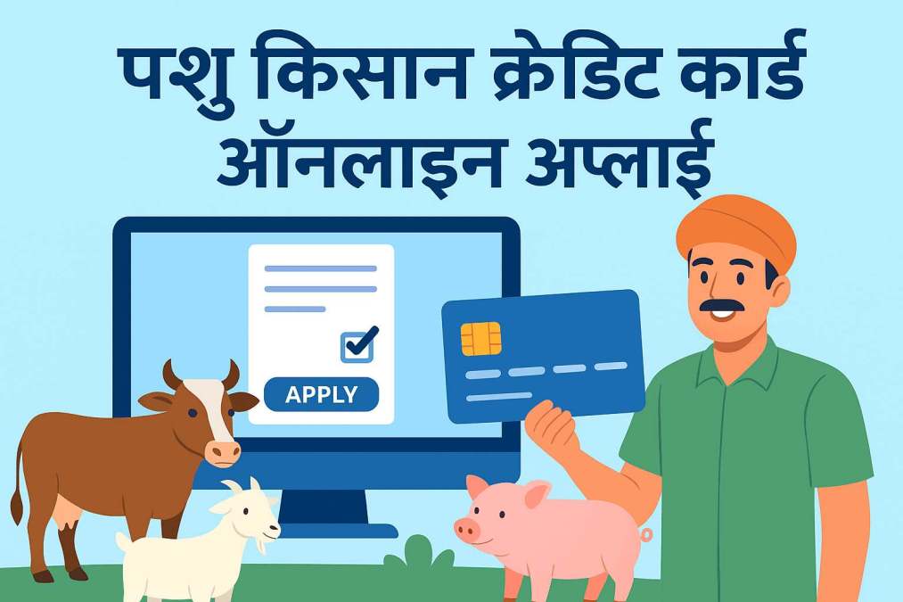 पशु किसान क्रेडिट कार्ड